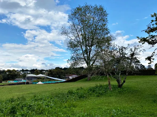 Lote en venta en El Carmen de Viboral, 3120 m² · foto 2 de 10