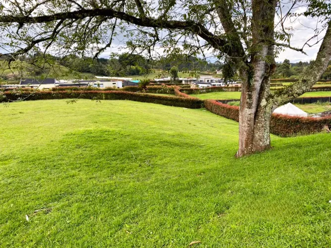 Lote en venta en El Carmen de Viboral, 3120 m² · foto 7 de 10