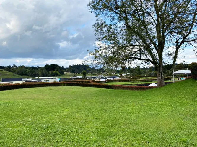 Lote en venta en El Carmen de Viboral, 3120 m² · foto 10 de 10