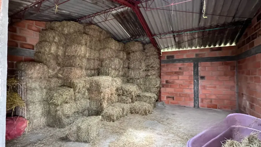 Finca en venta en Playa Rica-Rancheria, Rionegro, 14238 m² · foto 18 de 24
