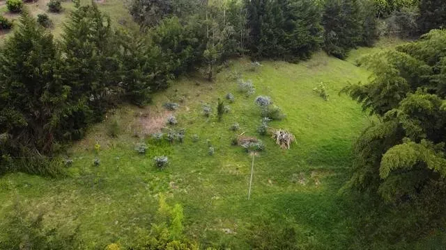 Lote en venta en El Porvenir, Rionegro, 9507 m² · foto 4 de 16