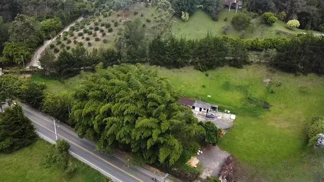 Lote en venta en El Porvenir, Rionegro, 9507 m² · foto 8 de 16