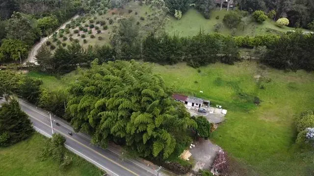 Lote en venta en El Porvenir, Rionegro, 9507 m² · foto 11 de 16