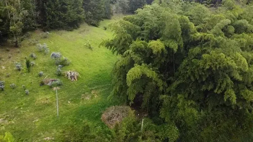 Lote en venta en El Porvenir, Rionegro, 9507 m² · foto 15 de 16