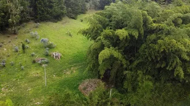 Lote en venta en El Porvenir, Rionegro, 9507 m² · foto 16 de 16