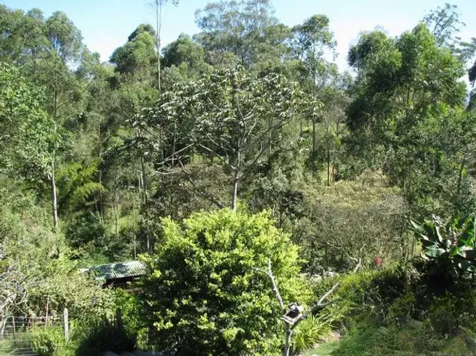 Casa de 4 alcobas en venta en Llano Grande, Rionegro · foto 8 de 15