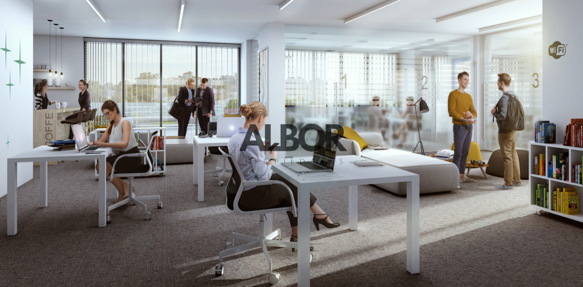 Apartamento en Alquiler · Foto 11