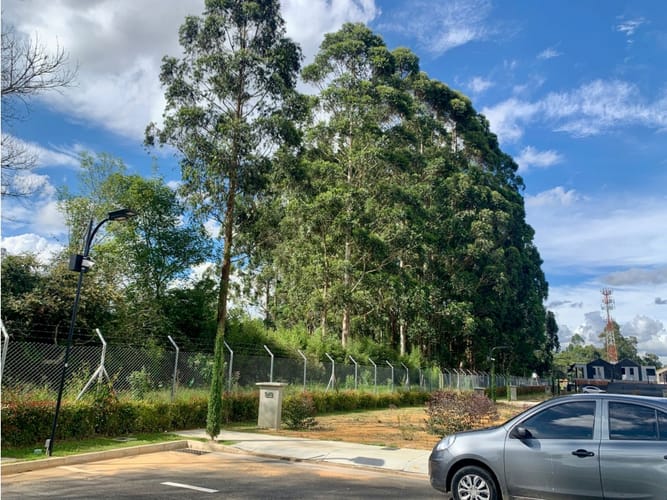 Lote en venta en El Tambo, La Ceja, 104 m² · foto 5 de 14