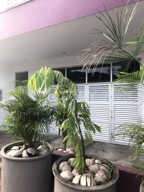 Casa de 2 alcobas en venta en Triunfo, Villavicencio, 400 m² · foto 12 de 21