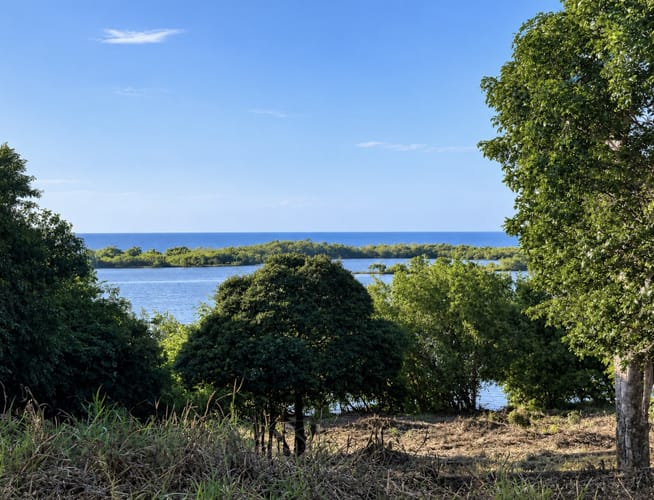 Lote en venta en Salgar, Puerto Colombia, 4010 m² · foto 6 de 6