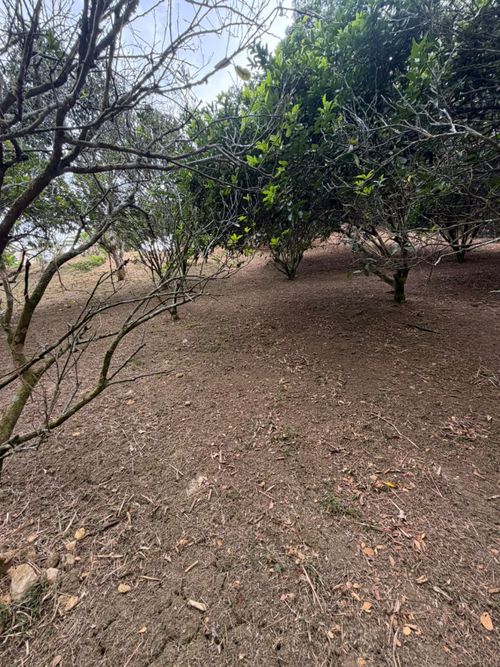 Lote en venta en La Buitrera, Cali, 1690 m² · foto 2 de 4