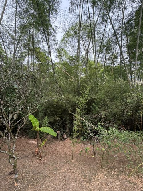 Lote en venta en La Buitrera, Cali, 1690 m² · foto 4 de 4