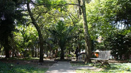 Apartamento en venta en San Marcos, Envigado · foto 3 de 7