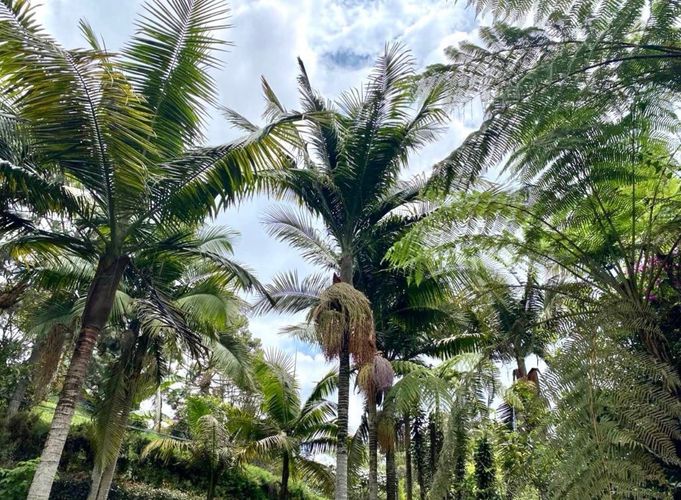 Finca en venta en Guayabito, Rionegro, 900 m² · foto 14 de 24