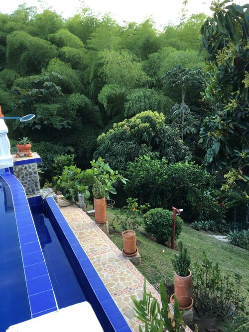 Casa en venta en Cerritos, Pereira · foto 4 de 24