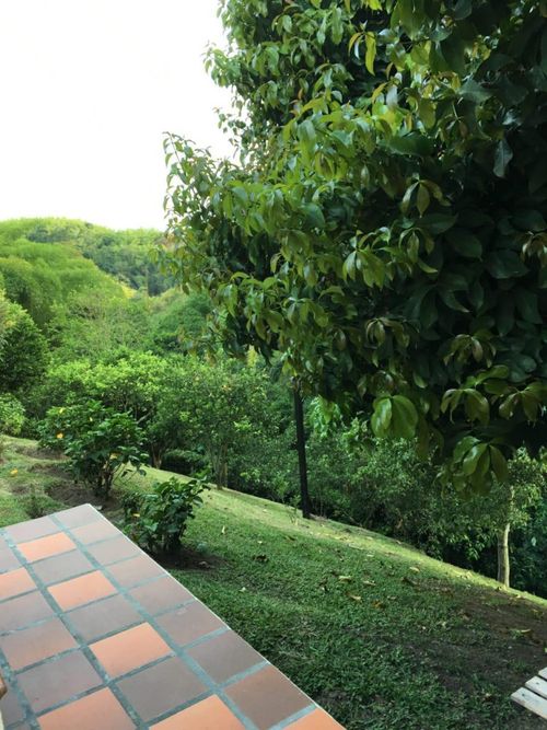 Casa en venta en Cerritos, Pereira · foto 12 de 24