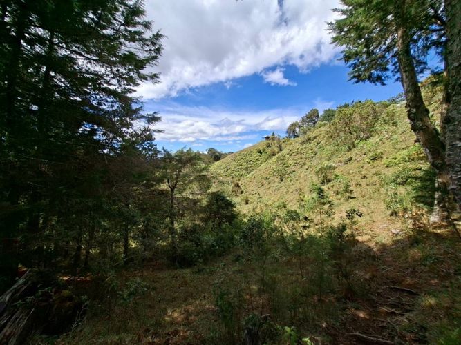 Lote en venta en Pantalio, El Retiro, 28621 m² · foto 3 de 24
