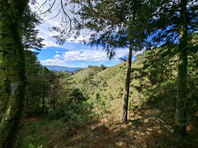 Lote en venta en Pantalio, El Retiro, 28621 m² · foto 4 de 24