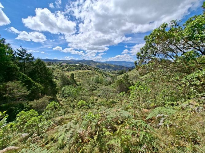 Lote en venta en Pantalio, El Retiro, 28621 m² · foto 5 de 24