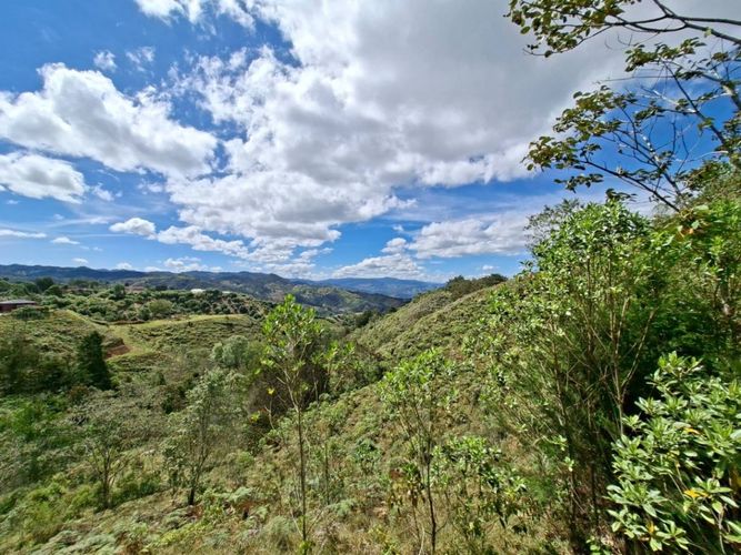 Lote en venta en Pantalio, El Retiro, 28621 m² · foto 6 de 24