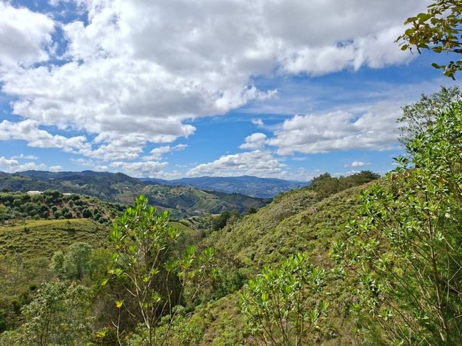 Lote en venta en Pantalio, El Retiro, 28621 m² · foto 7 de 24