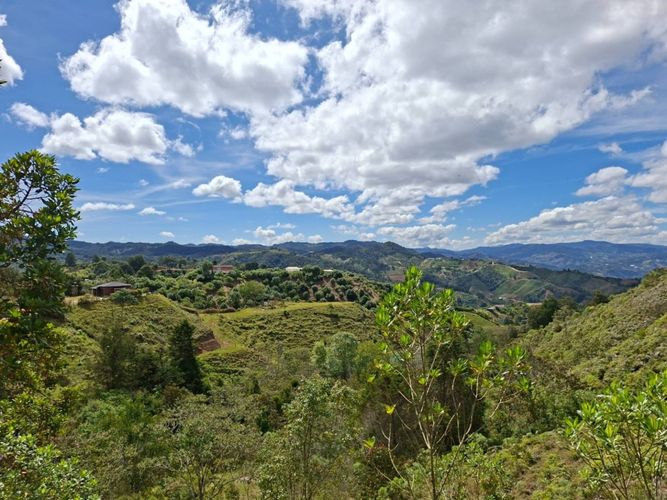 Lote en venta en Pantalio, El Retiro, 28621 m² · foto 8 de 24