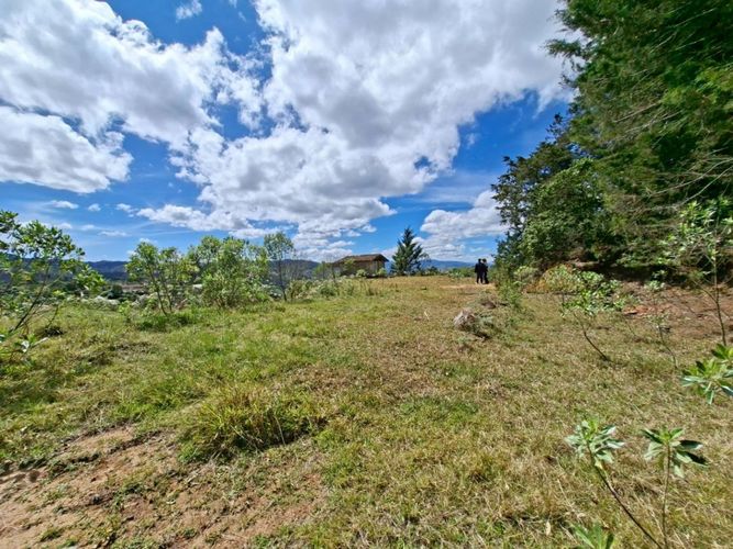 Lote en venta en Pantalio, El Retiro, 28621 m² · foto 9 de 24