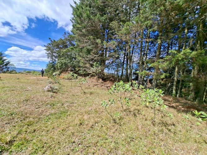 Lote en venta en Pantalio, El Retiro, 28621 m² · foto 10 de 24