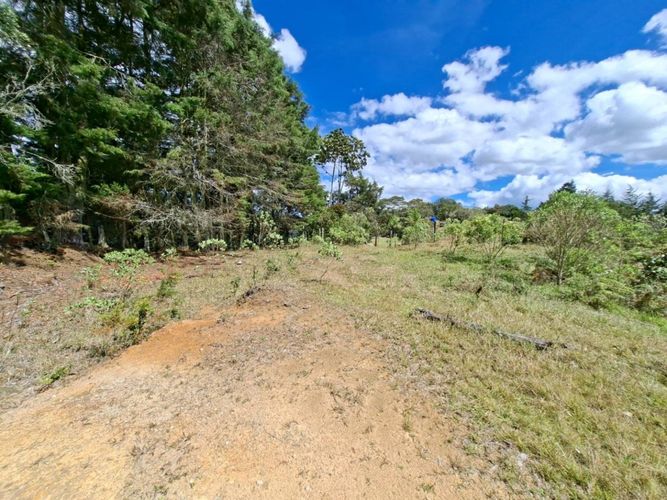 Lote en venta en Pantalio, El Retiro, 28621 m² · foto 12 de 24