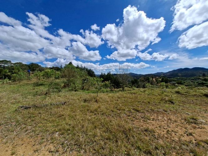 Lote en venta en Pantalio, El Retiro, 28621 m² · foto 13 de 24
