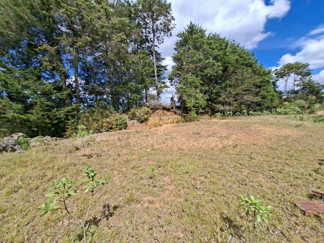 Lote en venta en Pantalio, El Retiro, 28621 m² · foto 16 de 24