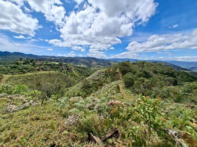 Lote en venta en Pantalio, El Retiro, 28621 m² · foto 17 de 24