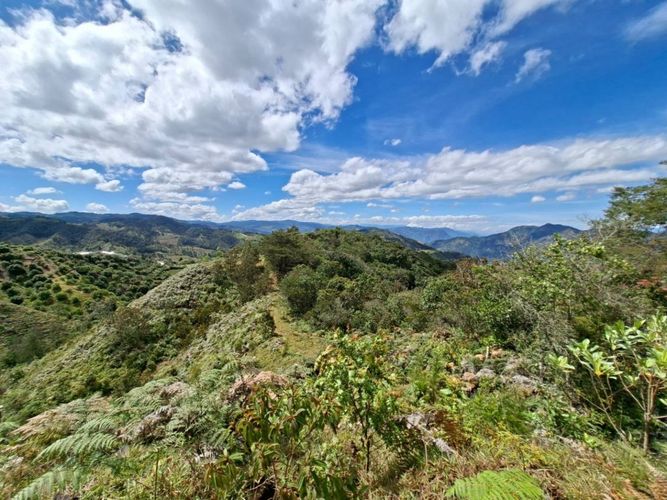 Lote en venta en Pantalio, El Retiro, 28621 m² · foto 18 de 24