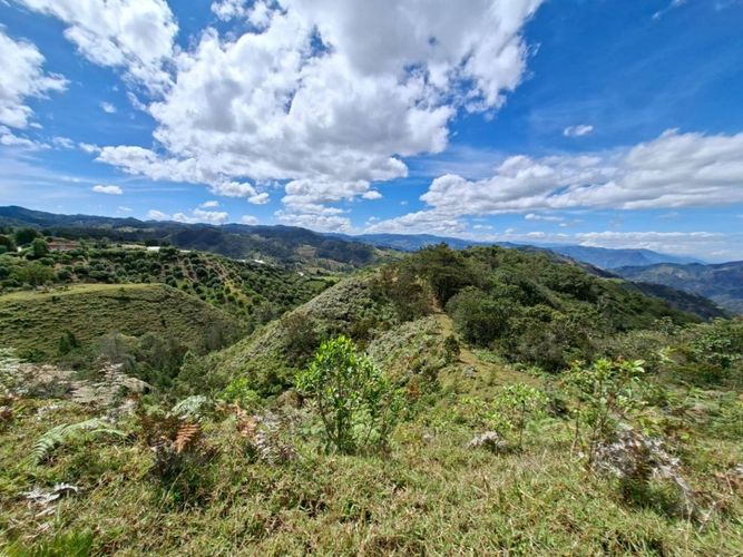 Lote en venta en Pantalio, El Retiro, 28621 m² · foto 19 de 24