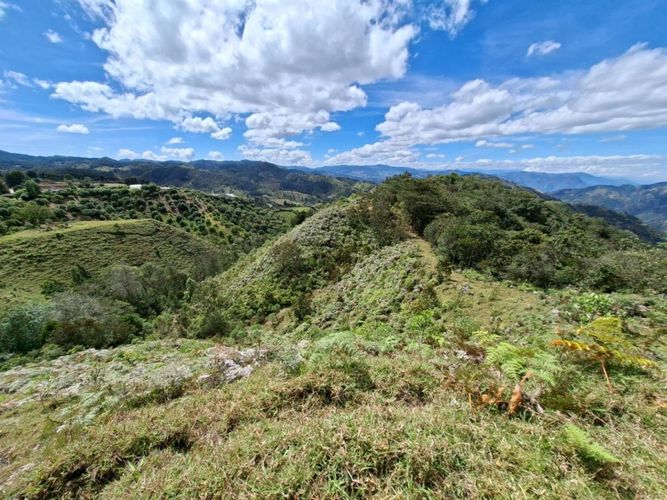 Lote en venta en Pantalio, El Retiro, 28621 m² · foto 20 de 24