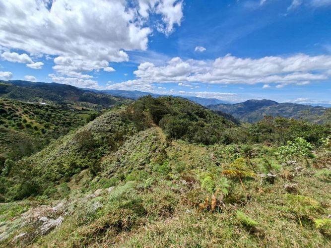 Lote en venta en Pantalio, El Retiro, 28621 m² · foto 21 de 24