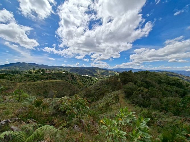 Lote en venta en Pantalio, El Retiro, 28621 m² · foto 23 de 24
