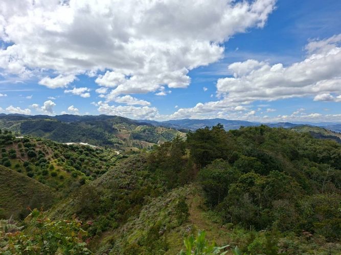 Lote en venta en Pantalio, El Retiro, 28621 m² · foto 24 de 24