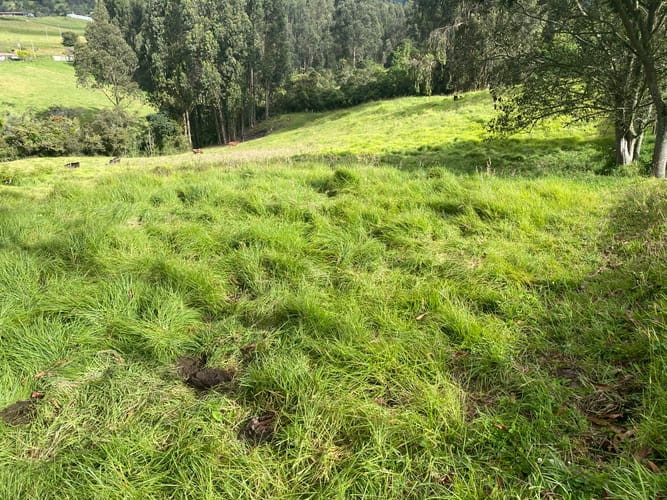 Finca en venta en Centro, Zipaquirá, 18 m² · foto 3 de 20