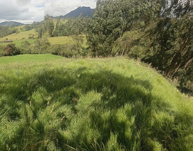 Finca en venta en Centro, Zipaquirá, 18 m² · foto 4 de 20