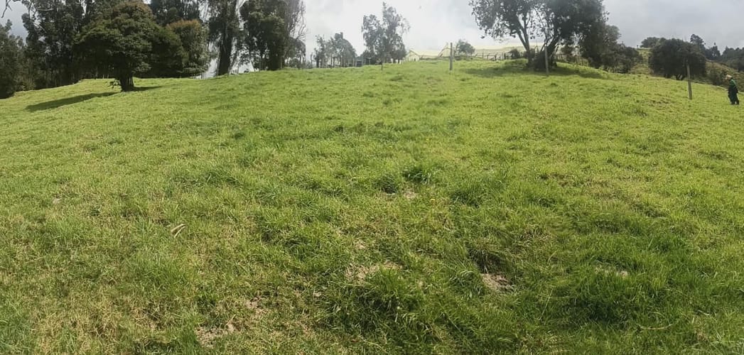 Finca en venta en Centro, Zipaquirá, 18 m² · foto 7 de 20