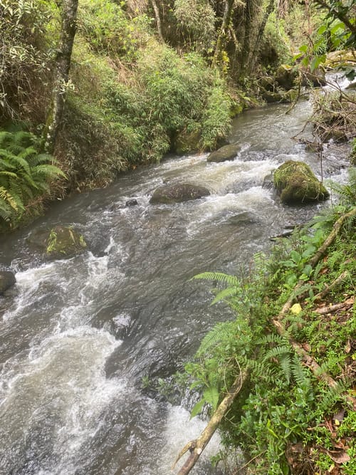 Finca en venta en Centro, Zipaquirá, 18 m² · foto 8 de 20