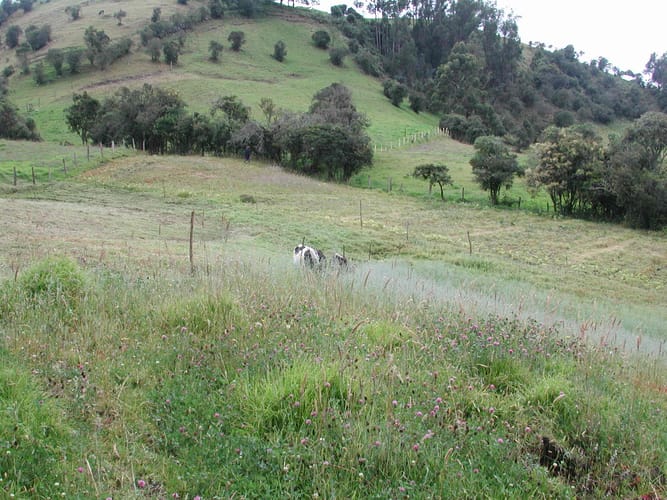 Finca en venta en Centro, Zipaquirá, 18 m² · foto 9 de 20
