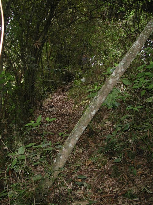 Finca en venta en Centro, Zipaquirá, 18 m² · foto 15 de 20