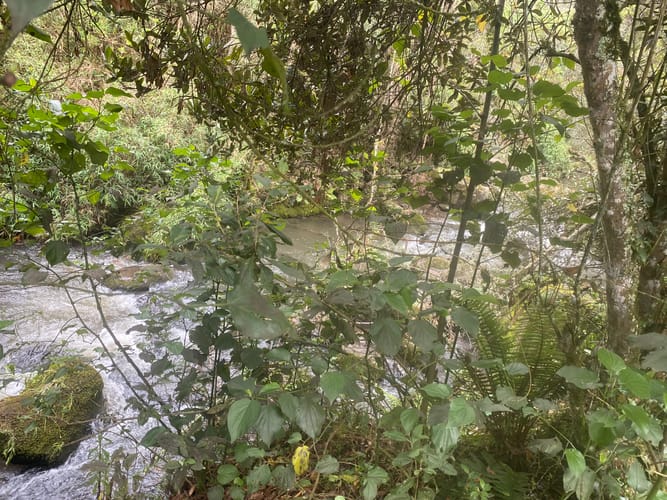 Finca en venta en Centro, Zipaquirá, 18 m² · foto 20 de 20