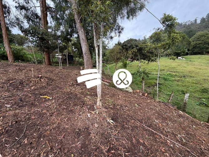 Apartamento en venta en La Clara, Guarne, 1214 m² · foto 2 de 8