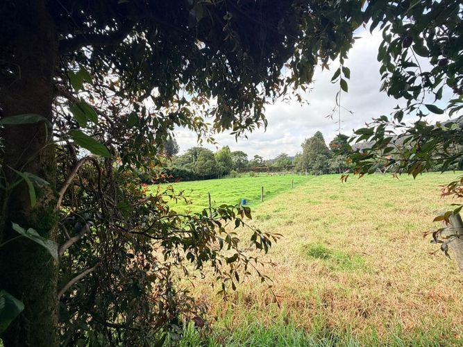 Lote en venta en Siberia, Cota, 3510 m² · foto 9 de 10