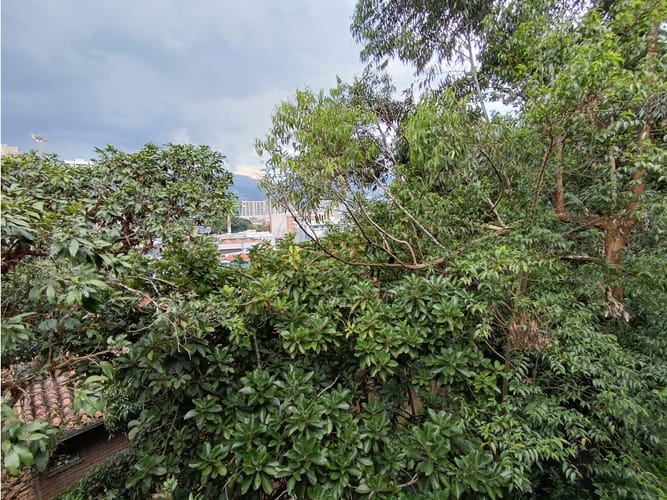 Apartamento de 3 alcobas en venta en Castropol, Envigado, 186 m² · foto 22 de 22