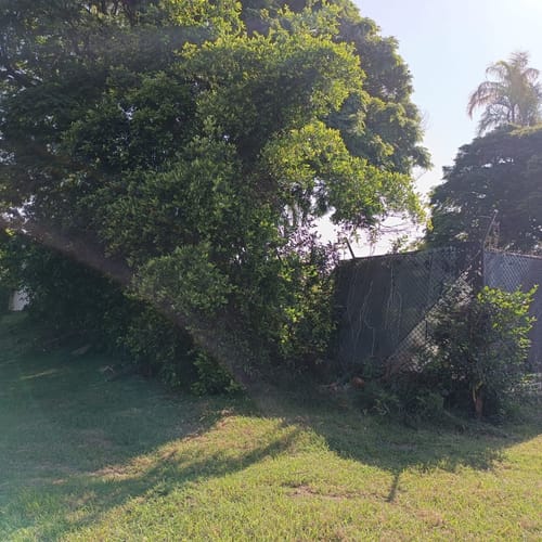 Lote en venta en Ciudad Jardin, Cali · foto 12 de 17