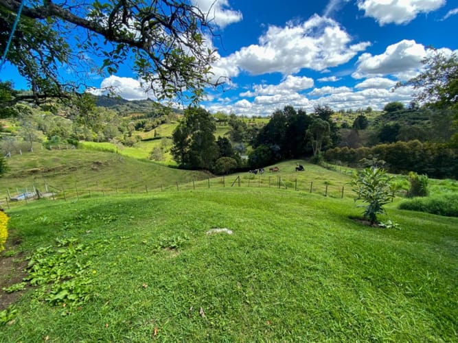 Finca en venta en Sajonia, Rionegro, 125 m² · foto 16 de 17